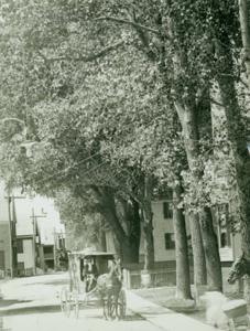 Commercial Street about 1910