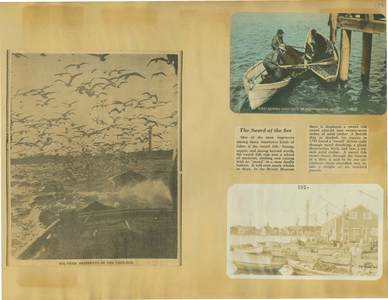 Scrapbooks of Althea Boxell (1/19/1910 - 10/4/1988), Book 7, Page 21 