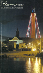 Annual Town Report - 2001