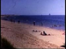 New Beach - Provincetown in the 1940's
